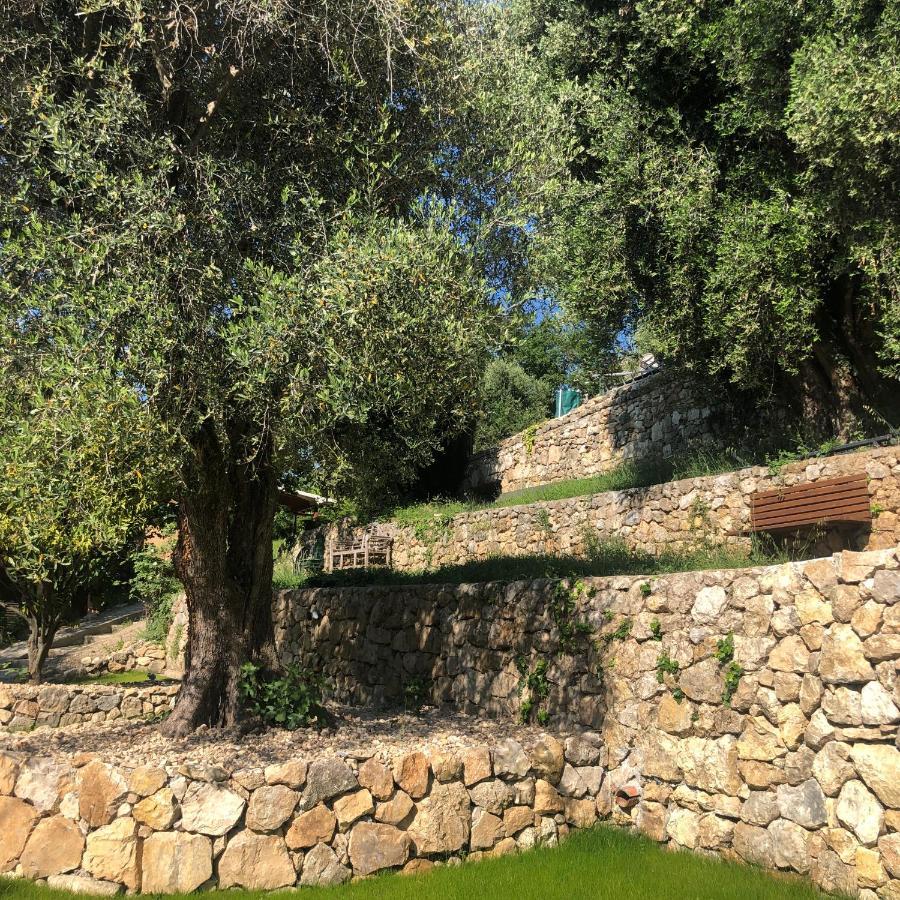 "Aux Balcons Du Riou" Avec Vue Mer 180 Degres Vence Εξωτερικό φωτογραφία