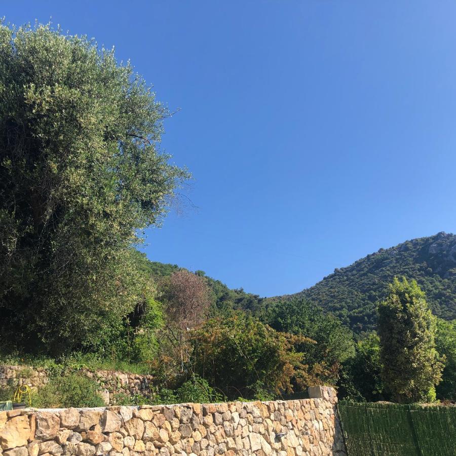 "Aux Balcons Du Riou" Avec Vue Mer 180 Degres Vence Εξωτερικό φωτογραφία