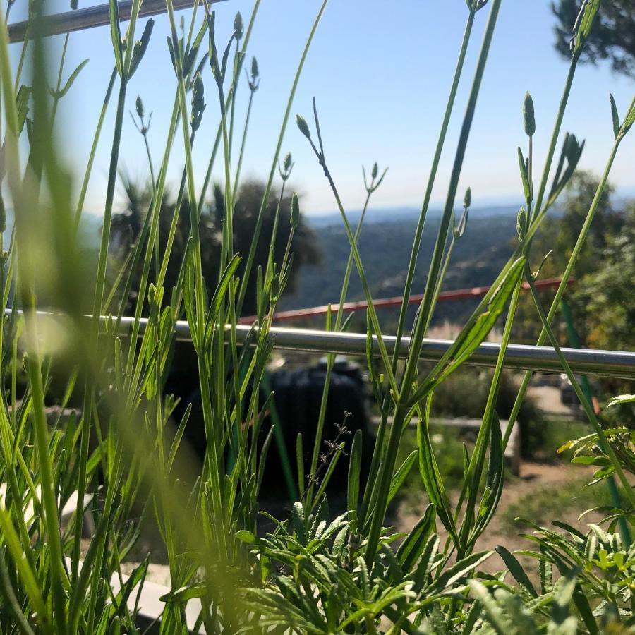 "Aux Balcons Du Riou" Avec Vue Mer 180 Degres Vence Εξωτερικό φωτογραφία
